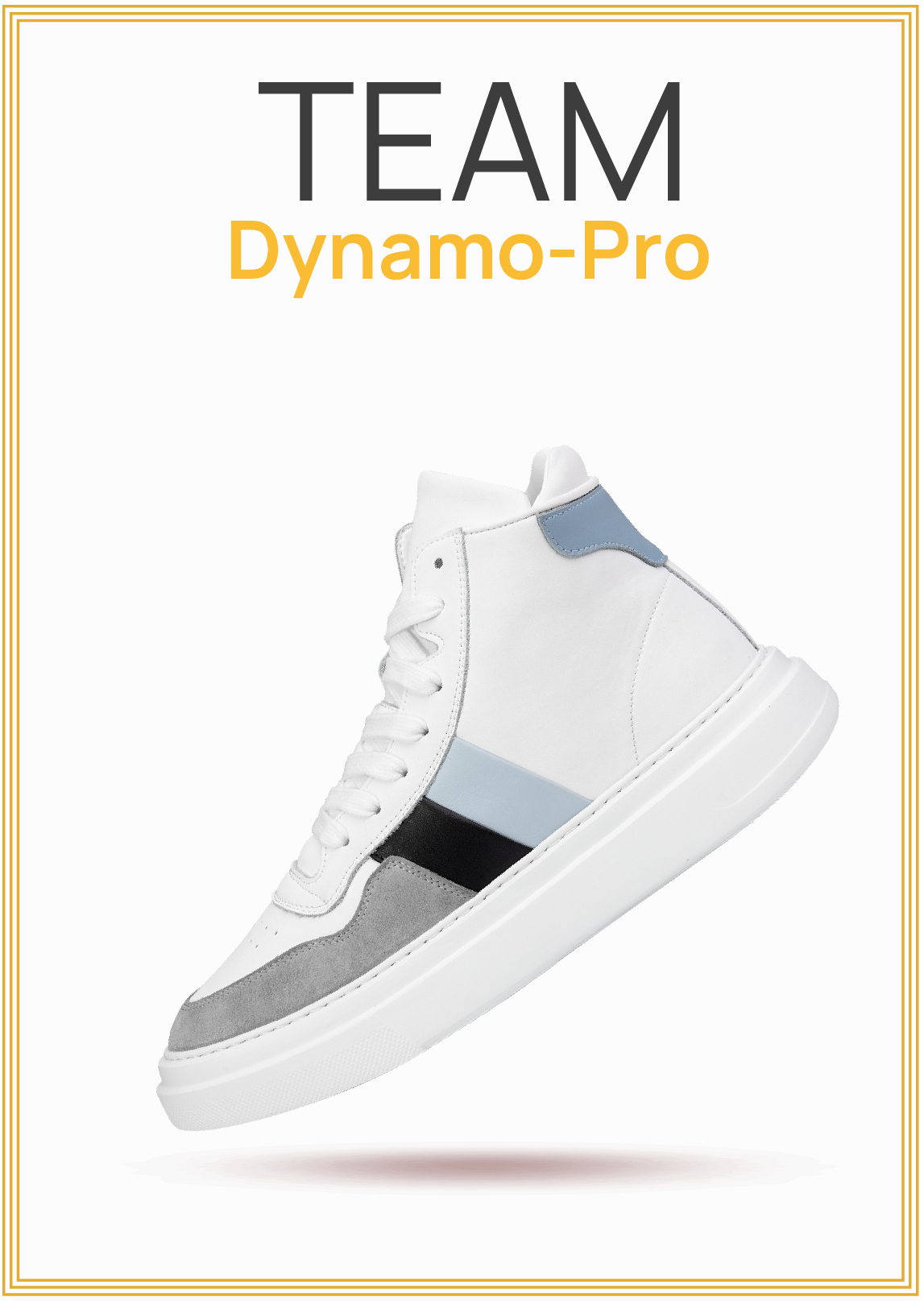 DynamoPro